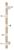 Cuier GC5166 