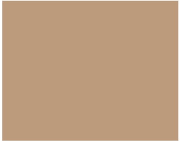 Chit Baumit Baumicol Silikon 310ml brown
