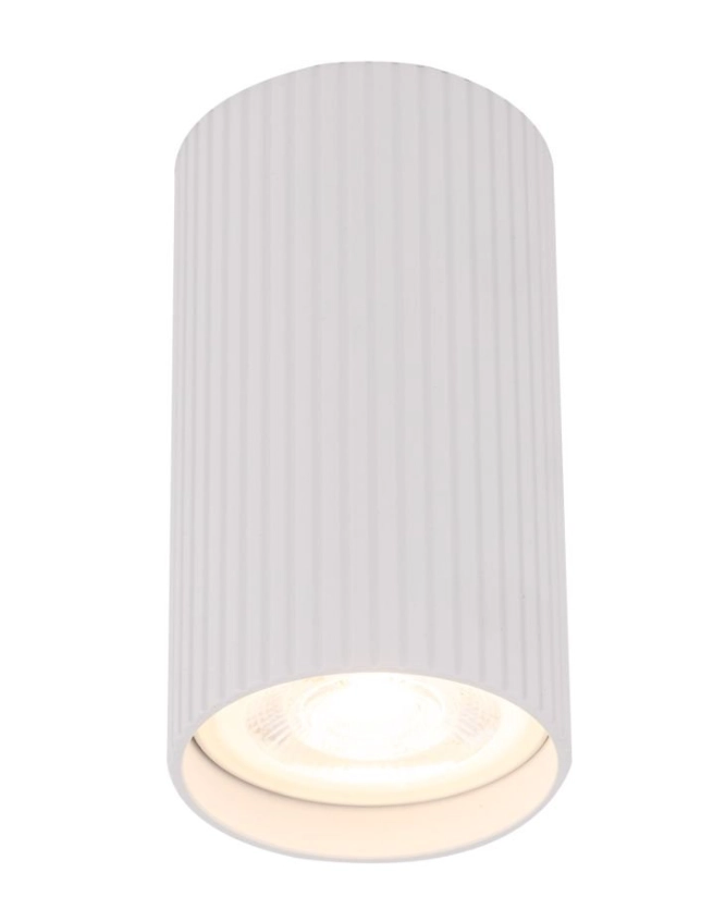 Spot Tk Lighting 10023 TUNE WHITE S 1 GU10 