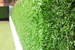 Зеленый забор стальной Grass Fence 150см*10м