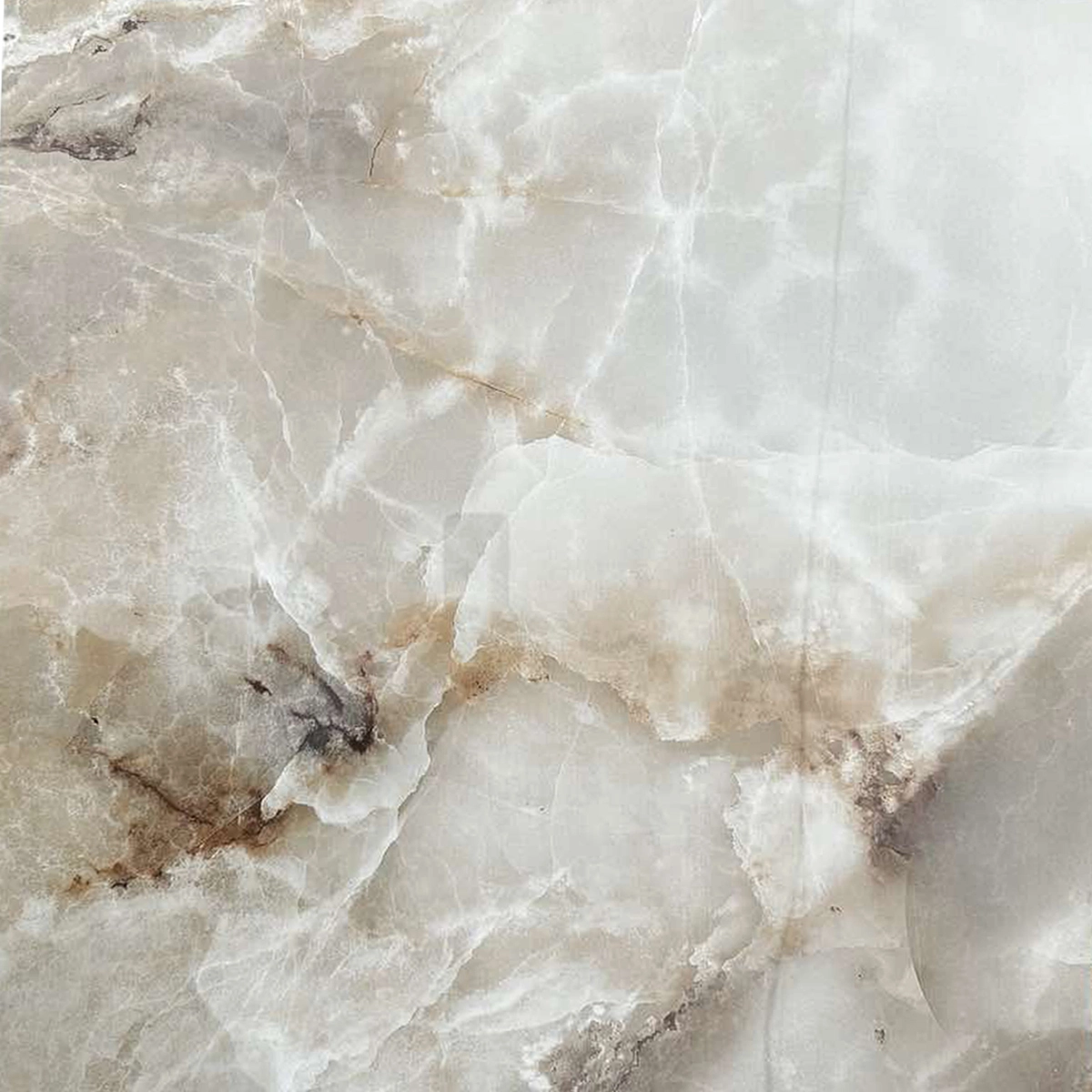 Gresie Alient Amina 60x60 Glossy 