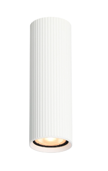 Spot Tk Lighting TUNE WHITE M 1 GU10 10025