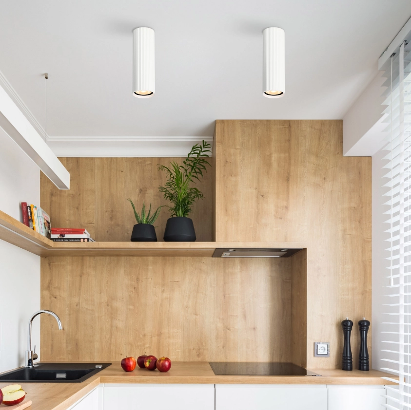 Спот Tk Lighting TUNE WHITE M 1 GU10 10025