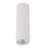 Спот Tk Lighting TUNE WHITE M 1 GU10 10025