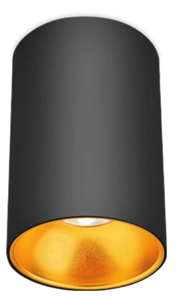 Corp de iluminare Beta-SR Braytron GU10 220-240VAC IP20 22707