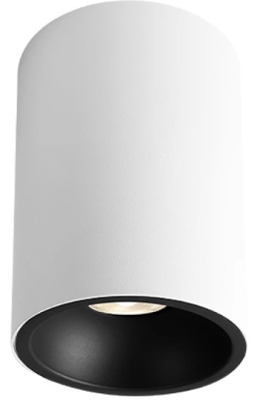 Corp de iluminare Braytron GU10 220-240VAC RND-WHT BH04-00100 22706 