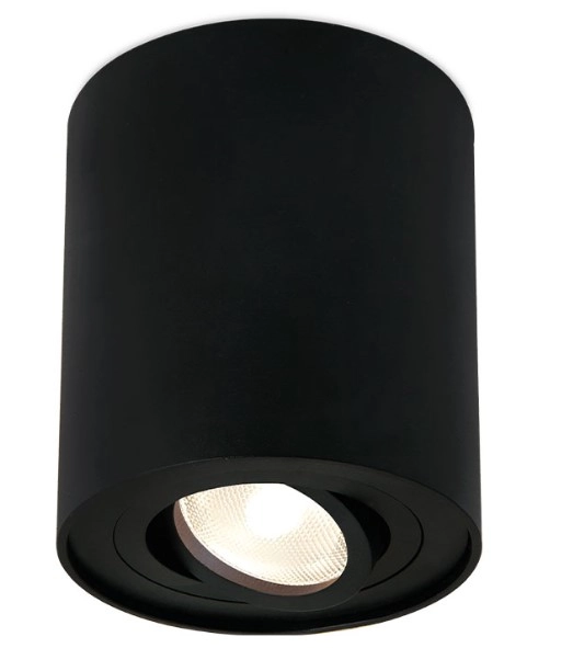 Corp de iluminare Gama-SRM Braytron GU10 220-240VAC RND-BLC IP20 BH04-00301 22715 