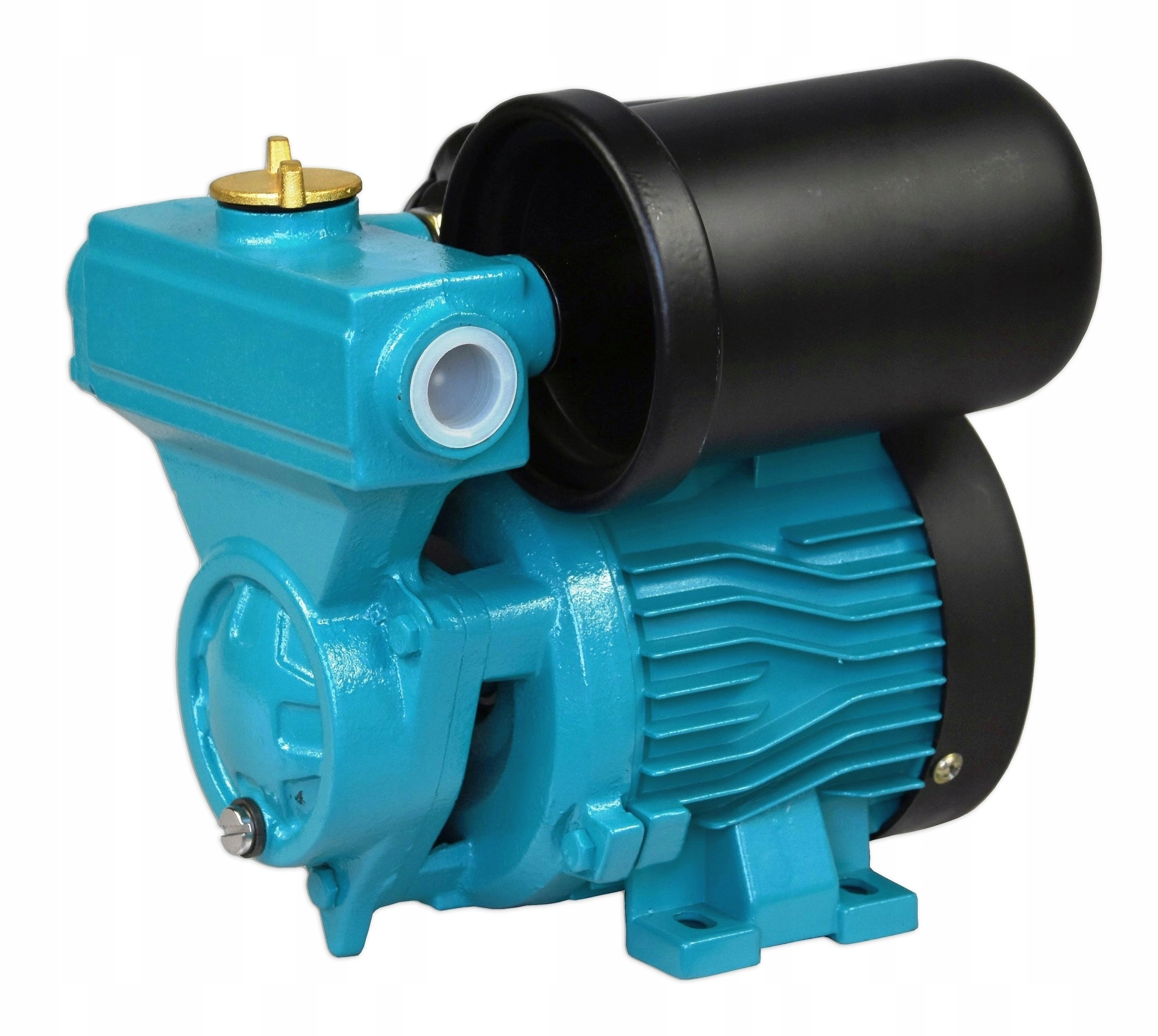 Hidrofor WZCH 100 1l