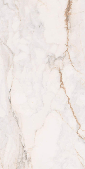 Faianță Pisa 60x120  gold