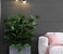 Gresie Crag 60*120 Antracite