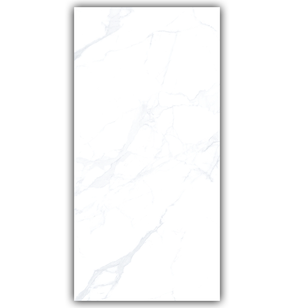 Gresie Graniser Seramik Icon 30x60 B3 White 