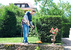 Триммер Stihl FSE71