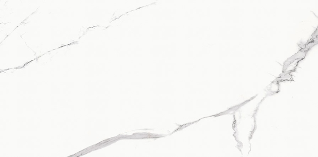 Плитка Bien Statuario 60*120 Goya Mat