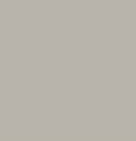 Chit Baumit Baumicol Silikon 310ml cement grey
