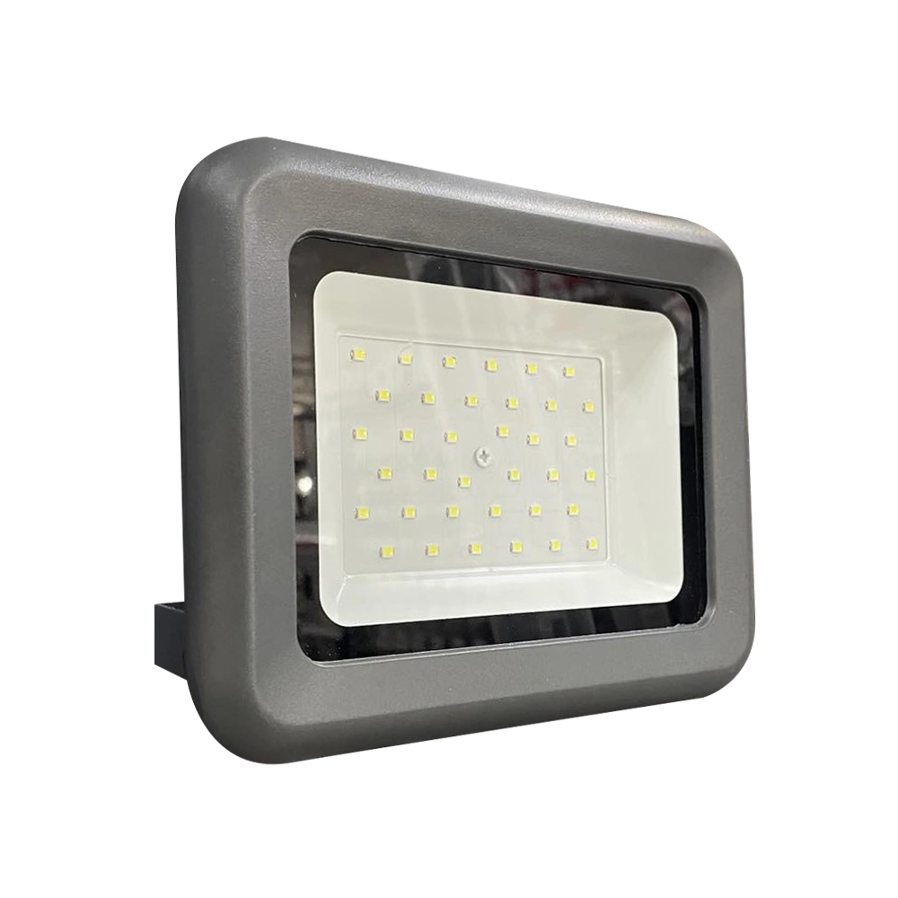 Прожектор Led E0015EI 30W 6500K IP65/0070059 