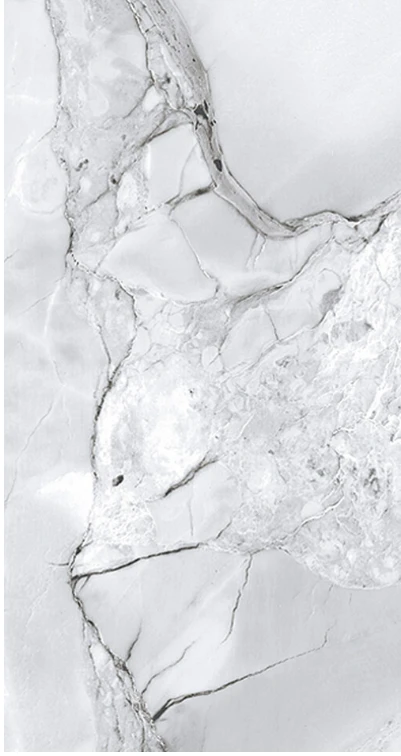 Faianță Flora 30x60 HAS light grey 