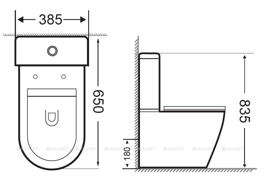 Напольный унитаз Aquanet BL-102N -TPT 
