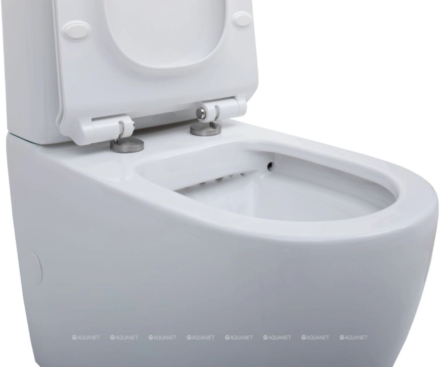Напольный унитаз Aquanet BL-102N -TPT 