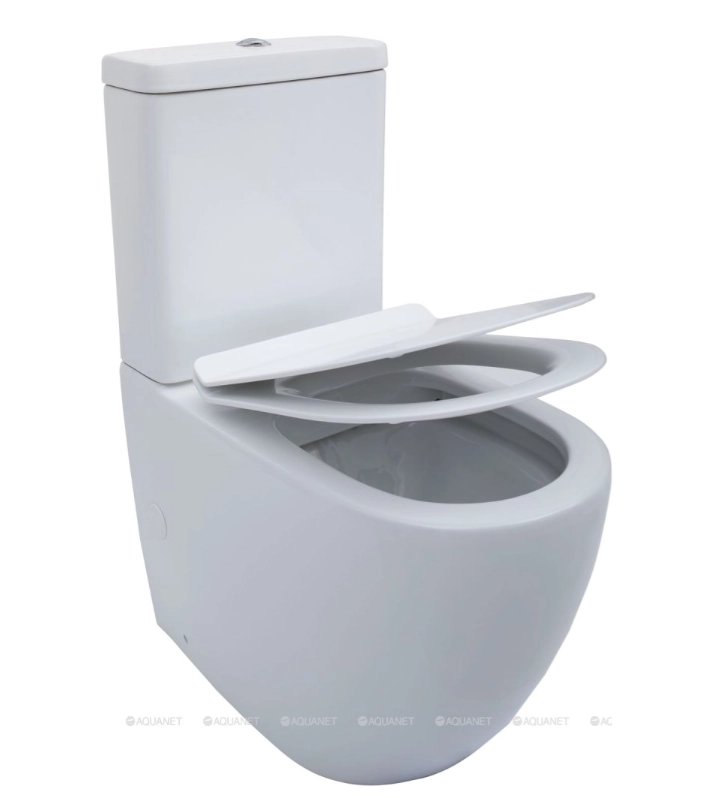 Напольный унитаз Aquanet BL-102N -TPT 