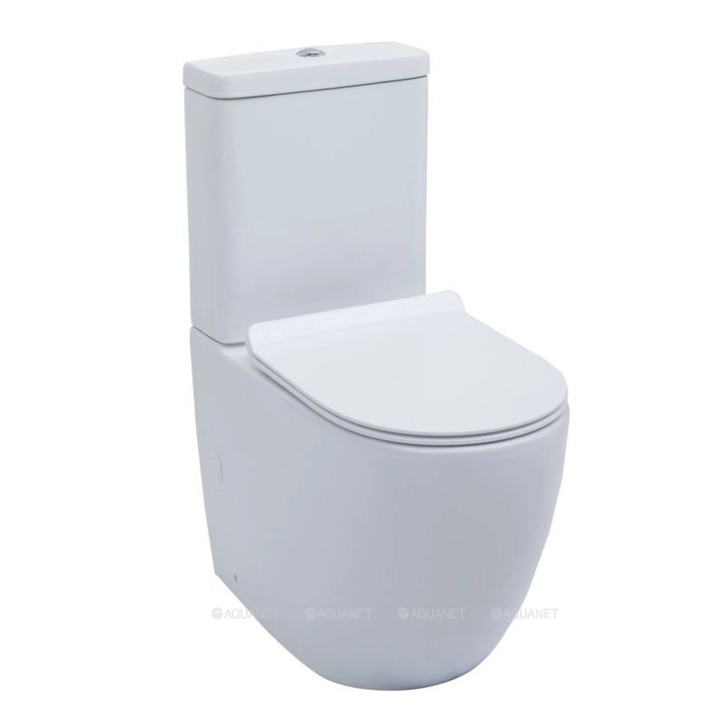 Напольный унитаз Aquanet BL-102N -TPT 