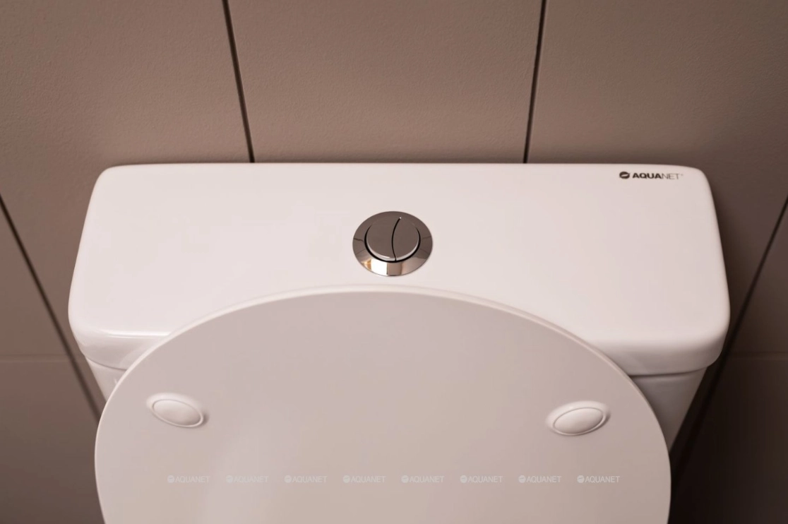 Напольный унитаз Aquanet BL-102N -TPT 