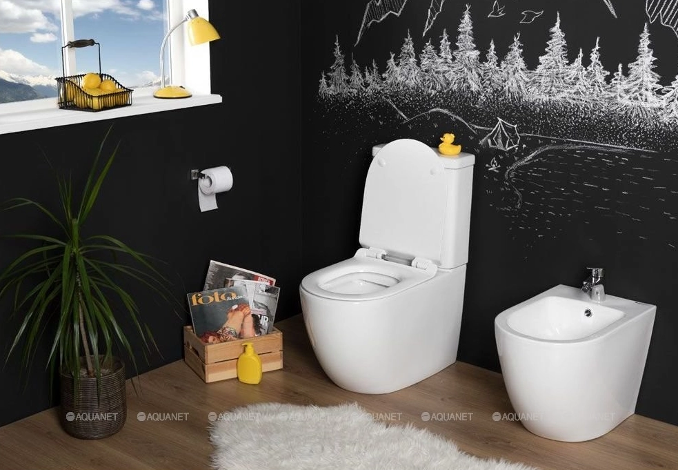 Напольный унитаз Aquanet BL-102N -TPT 