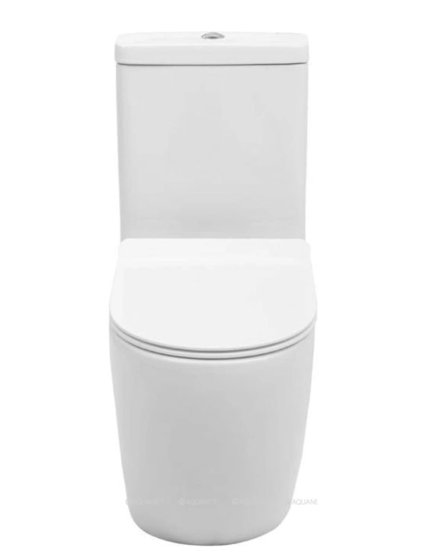 Напольный унитаз Aquanet BL-102N -TPT 