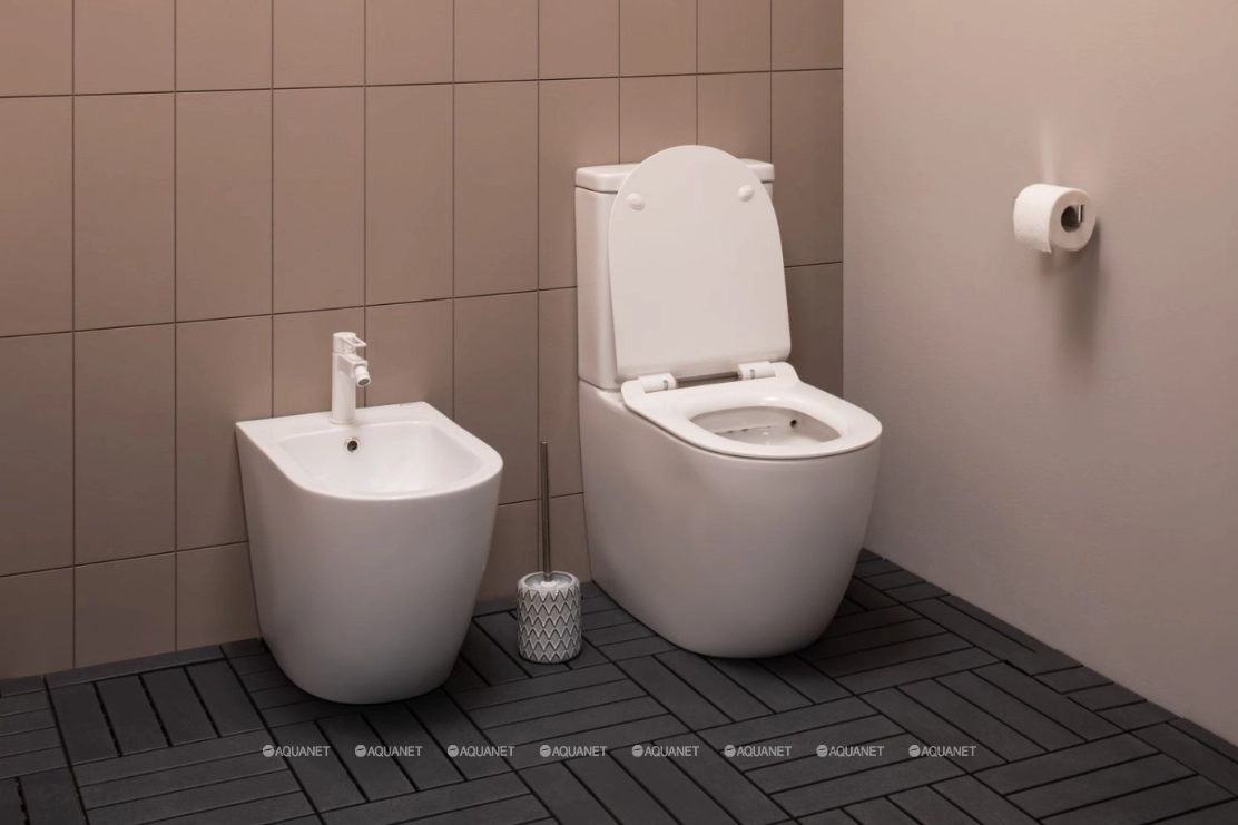Напольный унитаз Aquanet BL-102N -TPT 