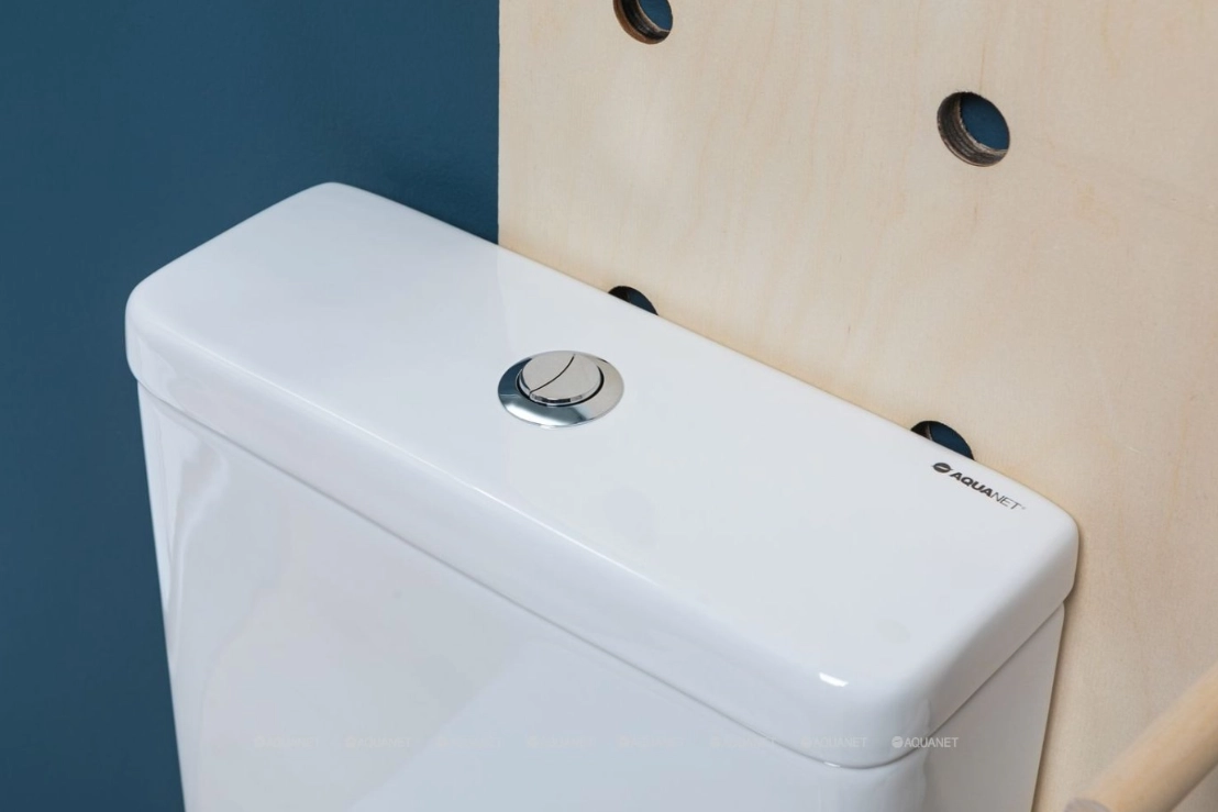 Напольный унитаз Aquanet BL-102N -TPT 