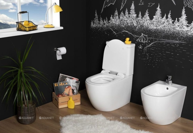 Vas WC Aquanet BL-102N -TPT