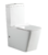 Напольный унитаз Aquanet BL-103N -TPT