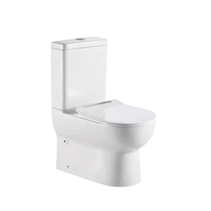 Vas de toaletă pe podea cu rezervor BL-106-TPT 