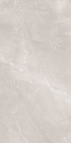 Плитка Alient Vanish 80x160 grey matt