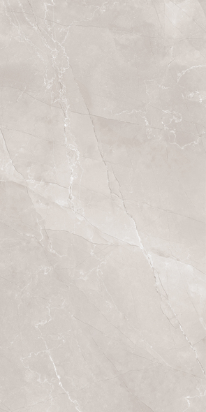 Плитка Alient Vanish 80x160 grey matt