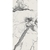 Gresie Newport 60x120