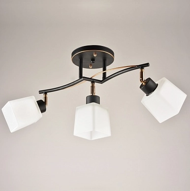 Люстра HTD 1338/3 BKG+FG E27