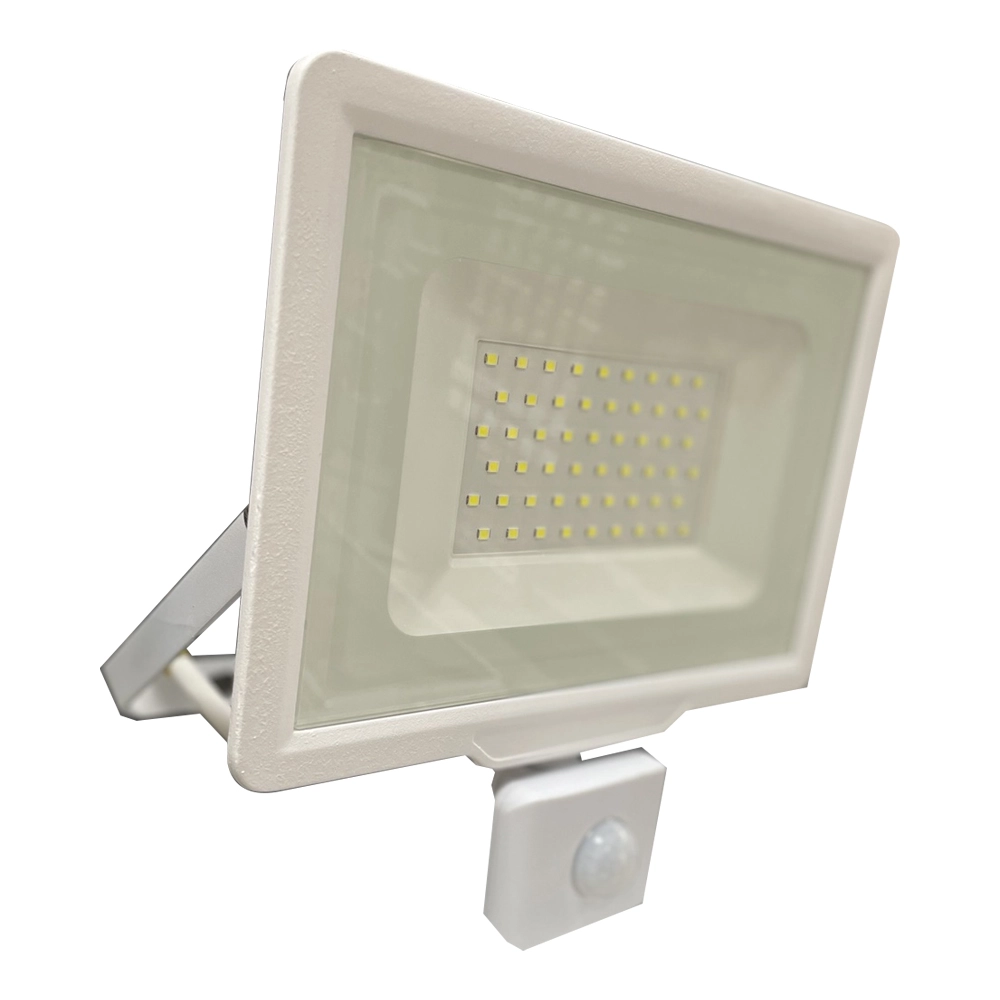 Прожектор Led E008EIS 50W 6500K IP65/0070056 