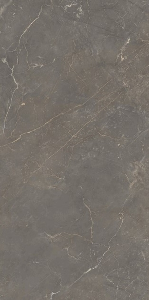 Gresie Makrana Alient 60x120 gris
