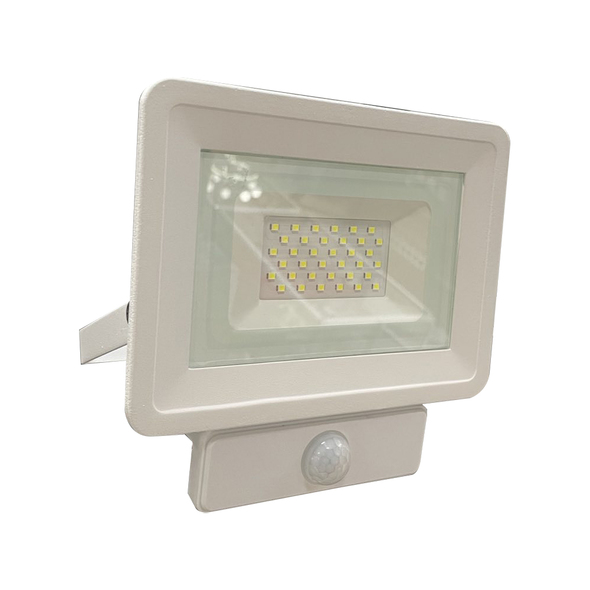 Прожектор Led E023EIS 30W 6500K IP65/0070064