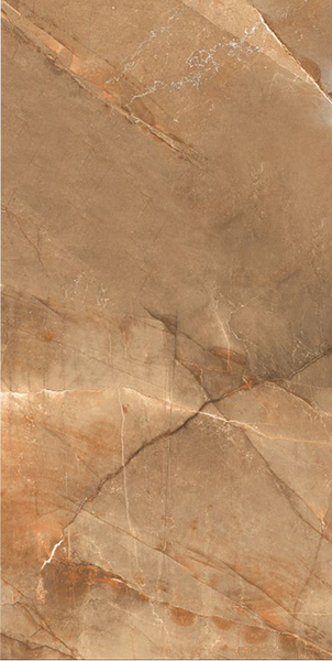 Gresie Boston 60*120 brown
