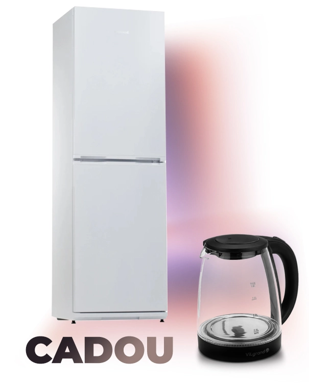 Холодильник Snaige RF 35SM-S0002E 