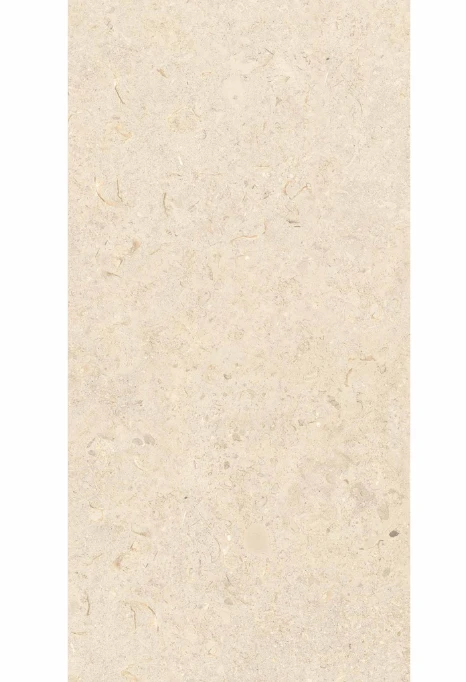 Gresie Clam shell 60х120 QUA bone
