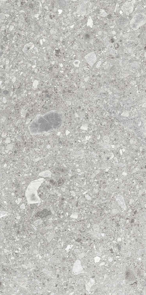 Gresie Izida Ceppo di gres 60x120  grey