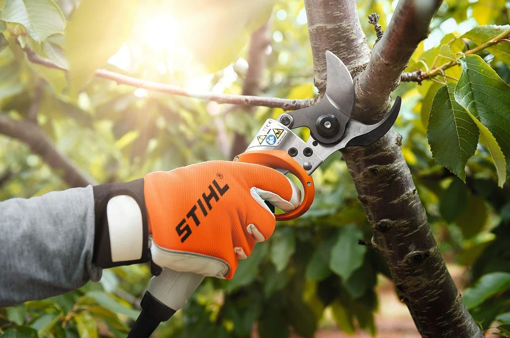 Аккумуляторный секатор VA05-011-6211 ASA 20.0 