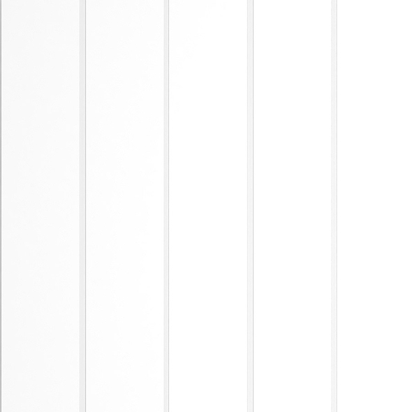Lambriu PVC SW 10 White