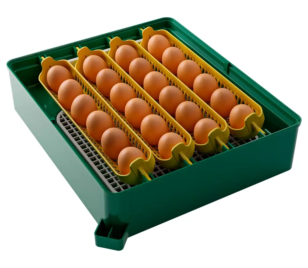 Инкубатор для яиц Des Champs Eco Profi C-24