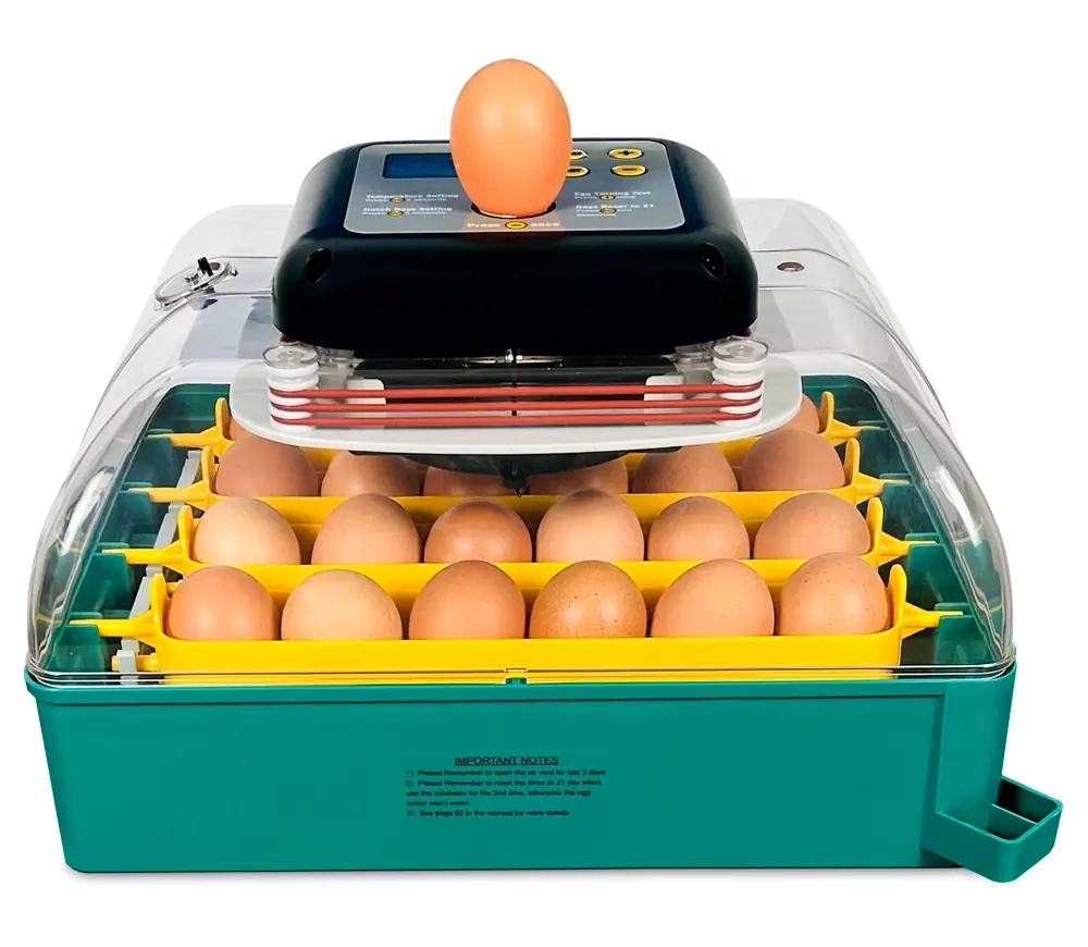 Инкубатор для яиц Des Champs Eco Profi C-24