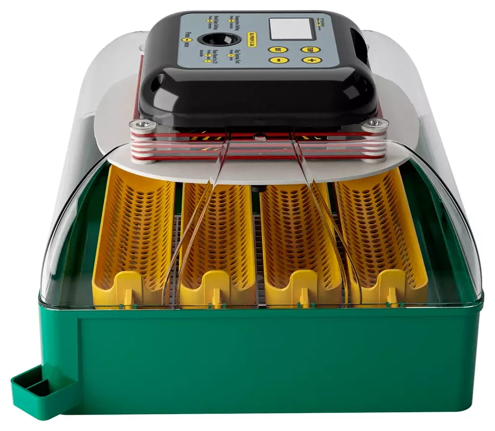 Инкубатор для яиц Des Champs Eco Profi C-24