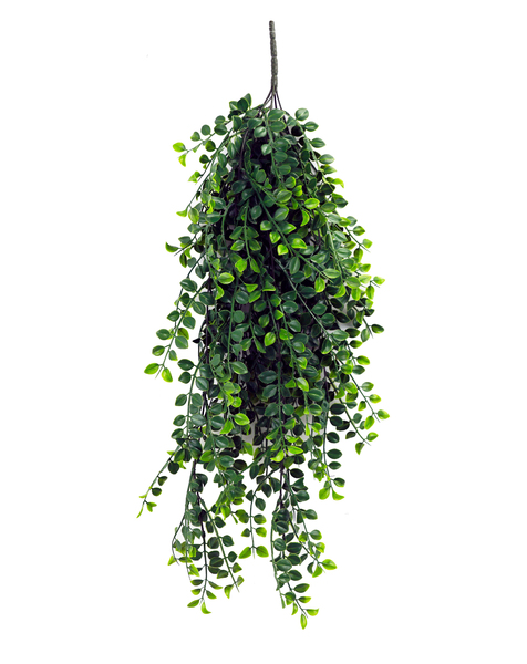  Acoperire decorativă BC001 DG 80 cm 