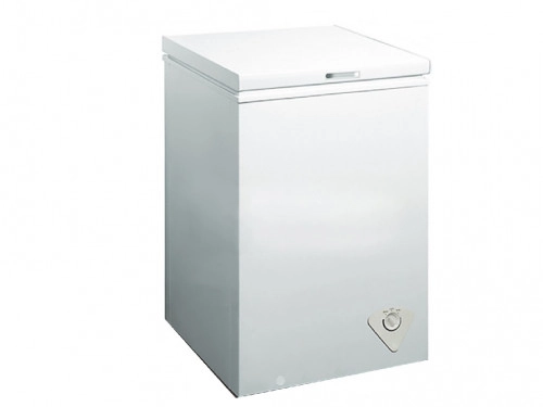 Congelator Zanetti LF 100 A+ 